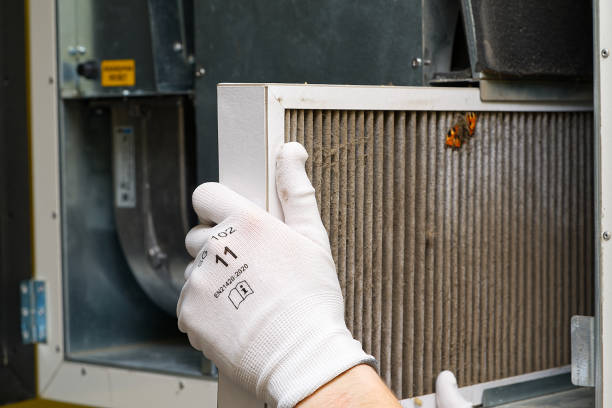 Best Home Air Vent Cleaning  in Clifton, TN