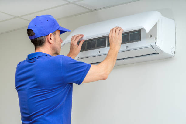 Air Duct Mold Removal in Clifton, TN